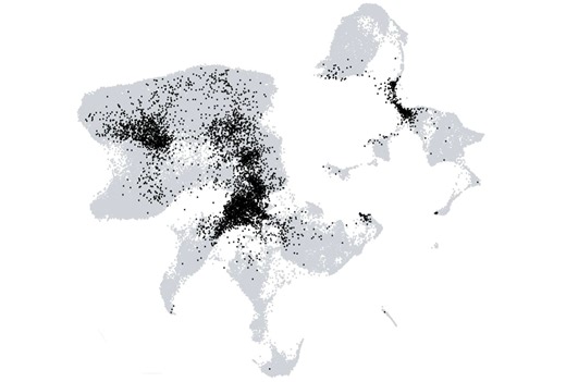 Nature retracts paper on novel brain cell type