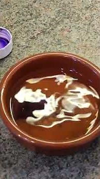 real life Cells At Work/Hataraku Saibo