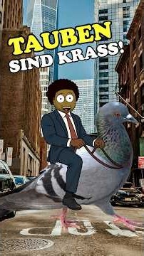 Du hast Tauben dein ganzes Leben unterschätzt 💀