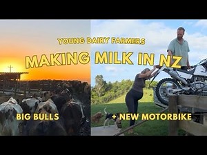MILK Farming (our life inside NZ's largest industry)