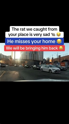 The rat we caught from your place is very sad 🐀 😂 #prankcall #jubal #rat #amazing #reelsfbシ Amazing Prank Calls Prank Calls | Amazing Prank Calls