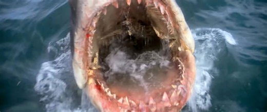 Fresh New Trailer for Spielberg's 'Jaws' 50th Anniversary Re-Release | FirstShowing.net