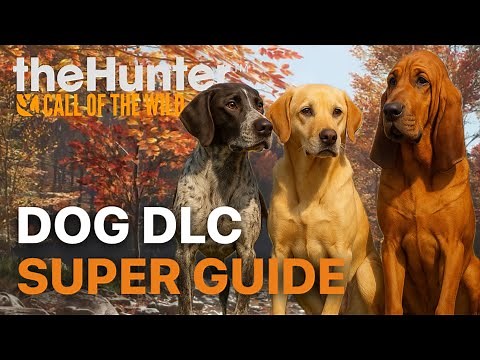 Dog DLC Guide: Bloodhound, Labrador Retriever & German Shorthaired Pointer | Hunter Call of the Wild