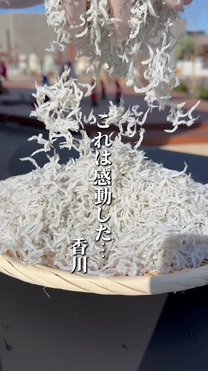釜揚げしらす丼カフェ＆ショップじゃこ丸がオープン