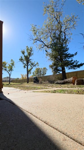 Boom! Kansas Tree Experts | Cliff Lesher