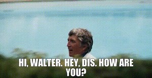 - Hi, Walter. - Hey, Dis. How are you?