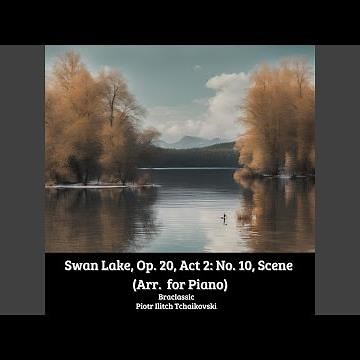 Swan Lake, Op. 20, Act 2: No. 10, Scene (Arr. for Piano) (Piano Version)