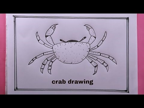 How To Draw A Crab Easy Step By Step/Crab Drawing Easy