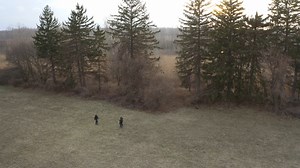 1M views · 24K reactions | Eloise Asylum is known as one of the most haunted locations in America. Joshua Gates and his team head to the asylum's burial site to honor the deceased, and get some answers. Watch the full episode of #ExpeditionX tonight at 9p on #Discovery. #EloiseAsylum #Haunted #Ghosts #Part2 | Expedition Unknown | Facebook