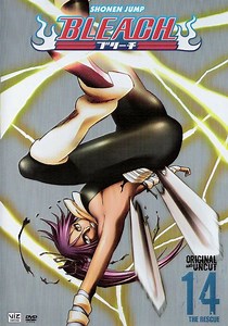 Bleach Season 14 - watch full episodes streaming online