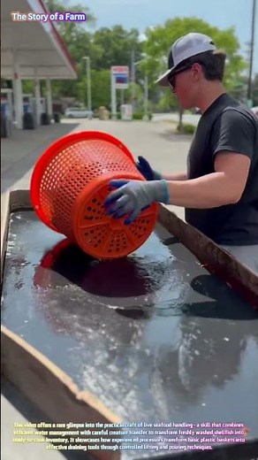 Seafood Processing: Watch a Pro Drain and Transfer Fresh Crawfish with a Simple Basket! 🦞💧