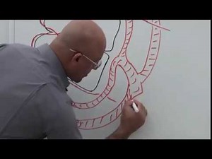 Trochlear Nerve | Neuroanatomy | Part 1/2