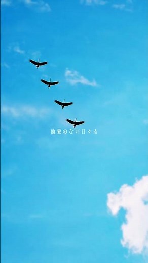一目惚れ #歌詞付き #歌詞動画 #舟津真翔