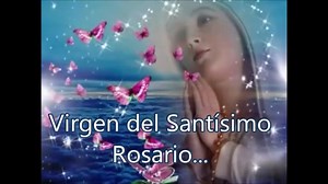 1.5K views · 140 reactions | Con esperanza seguimos en la campaña del Libro de Oro. "Oremos con la Virgen" COMPARTE ESTE VIDEO y que siga creciendo la familia Radio María!! | RadioMaria Spanish | Facebook