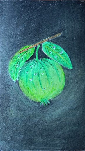 Guava drawing #guava #drawing #shorts