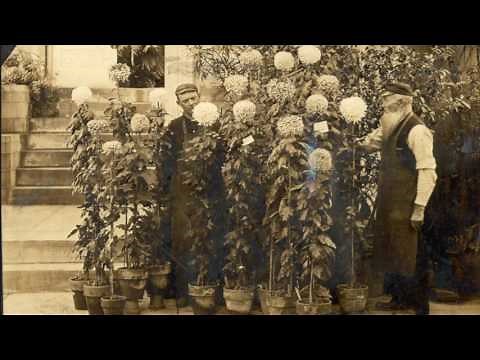 Radium and the Secret of Life with Luis Campos