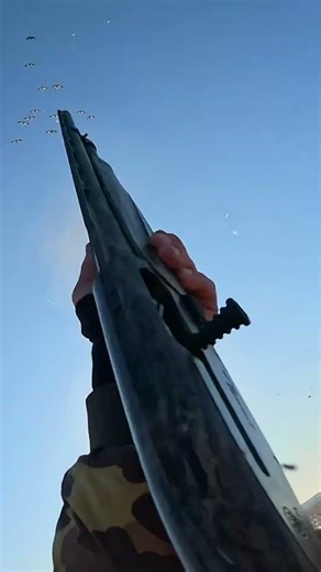 Snow Goose Hunting. New video coming out soon! #goose #snowgeese #goosehunt #duckhunter