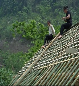 Building a New House Life of a 17 Year Old Single Mother #cooking #PoorMother #singlemom #countryside #ruralfood #singlemother | Tasty Recipe