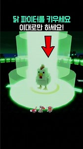 How to Raise the Strongest Chicken! - Raise a Chicken Fighter #Roblox #roblox #robloxshorts