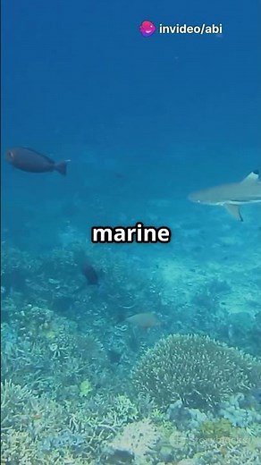 Dive into the Great Blue Hole: Belize's Underwater Wonder!