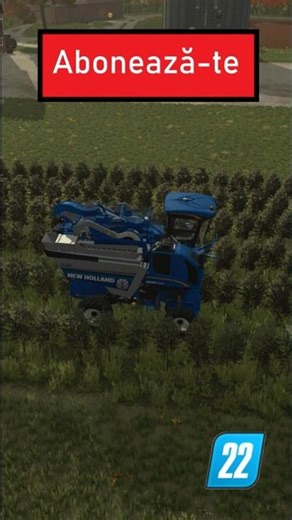 Recoltare măsline în FS22 - Harvesting olives in FS22
