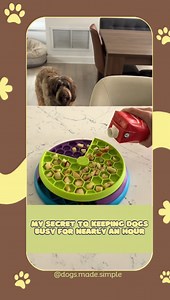 My Secret to Keeping Dogs Busy for Nearly an Hour