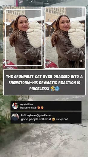 Grumpy Cat's Priceless Reaction to the Snow Storm! 😂🥶 He HATES winter! #CatShorts #FunnyPets #Snow