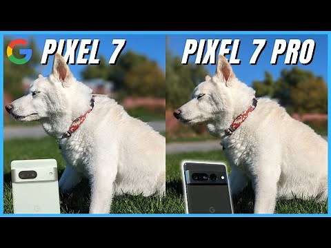 Google Pixel 7 vs Pixel 7 Pro Camera Comparison: What's the difference?