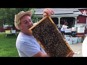 How to Start Beekeeping in New Jersey - Gentle NJ Bees