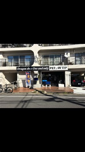 たな ごっち on Instagram: "今日は、One and Only唯一無二 PET.INVIPへ新春セールに行って来ました ペットショップには中々、販売していない高価な熱帯魚が安価で販売されてました 本年も宜しくお願いします🙇‍♂️"