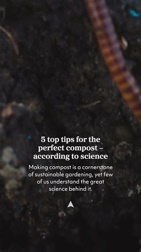 5 top tips for the perfect compost – according to science