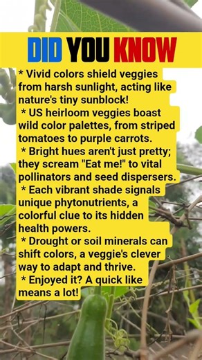 Why are vegetables so colorful? Is it just for beauty, or is there another purpose behind it? 🧐