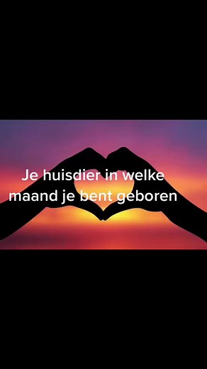 Discover Your Birth Month Through Adorable Animals