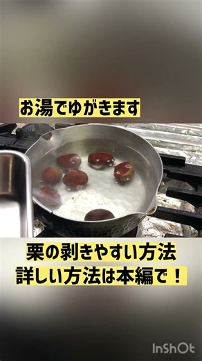 【栗の剥き方】きれいに剥くコツをご紹介！今回は、ちょっとしたコツを知っておくと、栗ご飯や甘露煮など、栗料理がぐっと作りやすくなります！ぜひ動画を見ながら試してみてください😊 #栗 #簡単 #秋の味覚