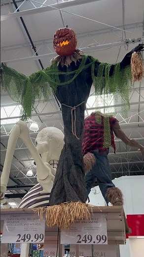 Costco Halloween 2024 Servo Pumpkin “Animated Pumpkin Scarecrow”
