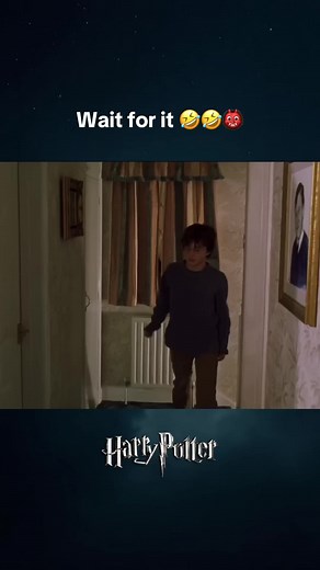 Harry Potter Memes That Will Make You Laugh