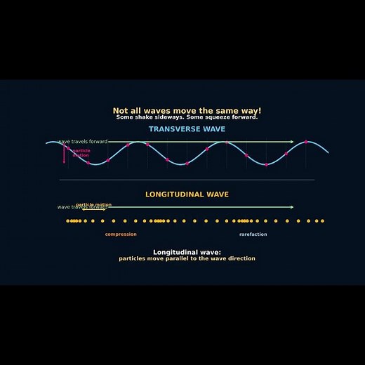 Transverse vs Longitudinal Waves | The Basic Difference Explained #physicsshorts #students #physics