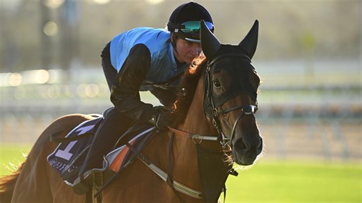 Jericho plan for Half Yours that can end in Melbourne Cup glory