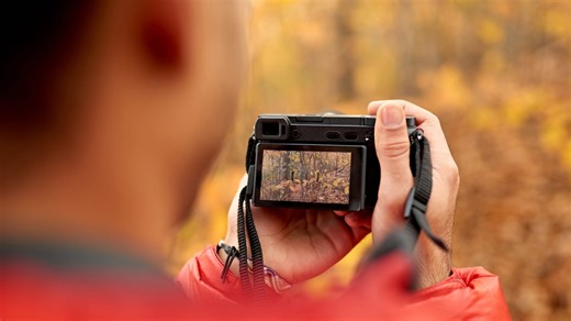 10 fall foliage photography tips from Nikon Ambassador Deb Sandidge