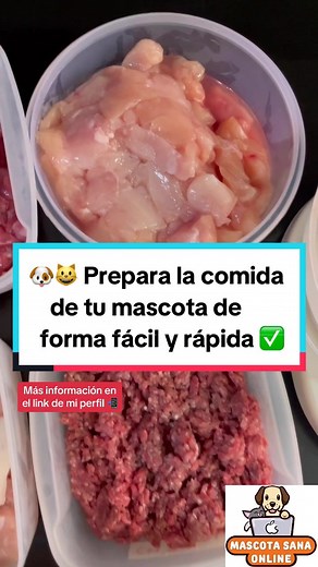 mascotasana.online on TikTok