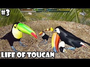 Ultimate Bird Simulator - Life of Toucan - Android/iOS - Gameplay Part 3