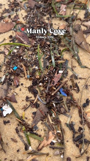Australian Microplastic Assessment Project on Instagram: "Recent heavy rainfall on Sydney’s Northern Beaches has pushed large amounts of pollution from streets, drains, and stormwater systems into the marine environment Over the weekend, AUSMAP Senior Science Officer Dr Natasha captured this footage at Manly Cove, in Sydney’s northern harbour. The footage highlights nurdles — tiny plastic pellets used to manufacture plastic products — which are often lost during transport or handling and can eas