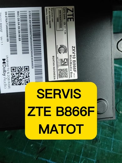 Servis Android TV Box ZTE B866F: Pesan dan Solusi