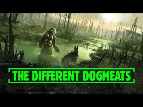 The Full Story of Dogmeat | Fallout Lore