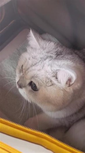 继续比赛战斗ing我们就是来蹭场子的！