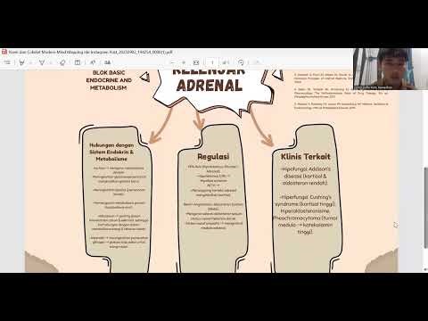 Tugas Basic Endocrine and Metabolism System 2208260060