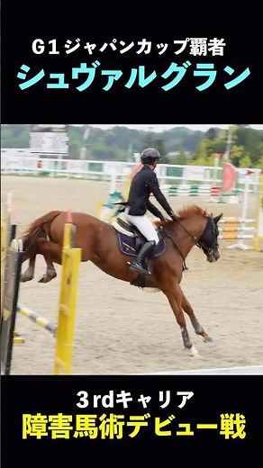 G1馬シュヴァルグラン "第三のキャリア"障害馬術デビュー戦！#jra #horse #horseriding #馬術 #equestrian #シュヴァルグラン #ウマ娘プリティーダービー