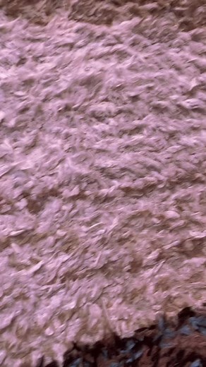 South Park Jimmy Plush Talking Funny Stuffed Animals