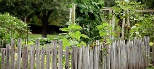 Inexpensive Ideas for Garden Fencing | DoItYourself.com