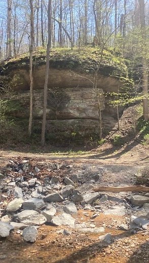 Someone’s gotta do it. Don’t forget to get your Man-Eating Manatee Sticker if you haven’t already. • • • @sloans @frontline_suspension @slavensracing @cardosystems @moskomoto @flomotorsports #advrider #adventuremotorcycle #dualsportlife #ktm500exc #moto #dirtbike #outdoors ———— | Brock Gill